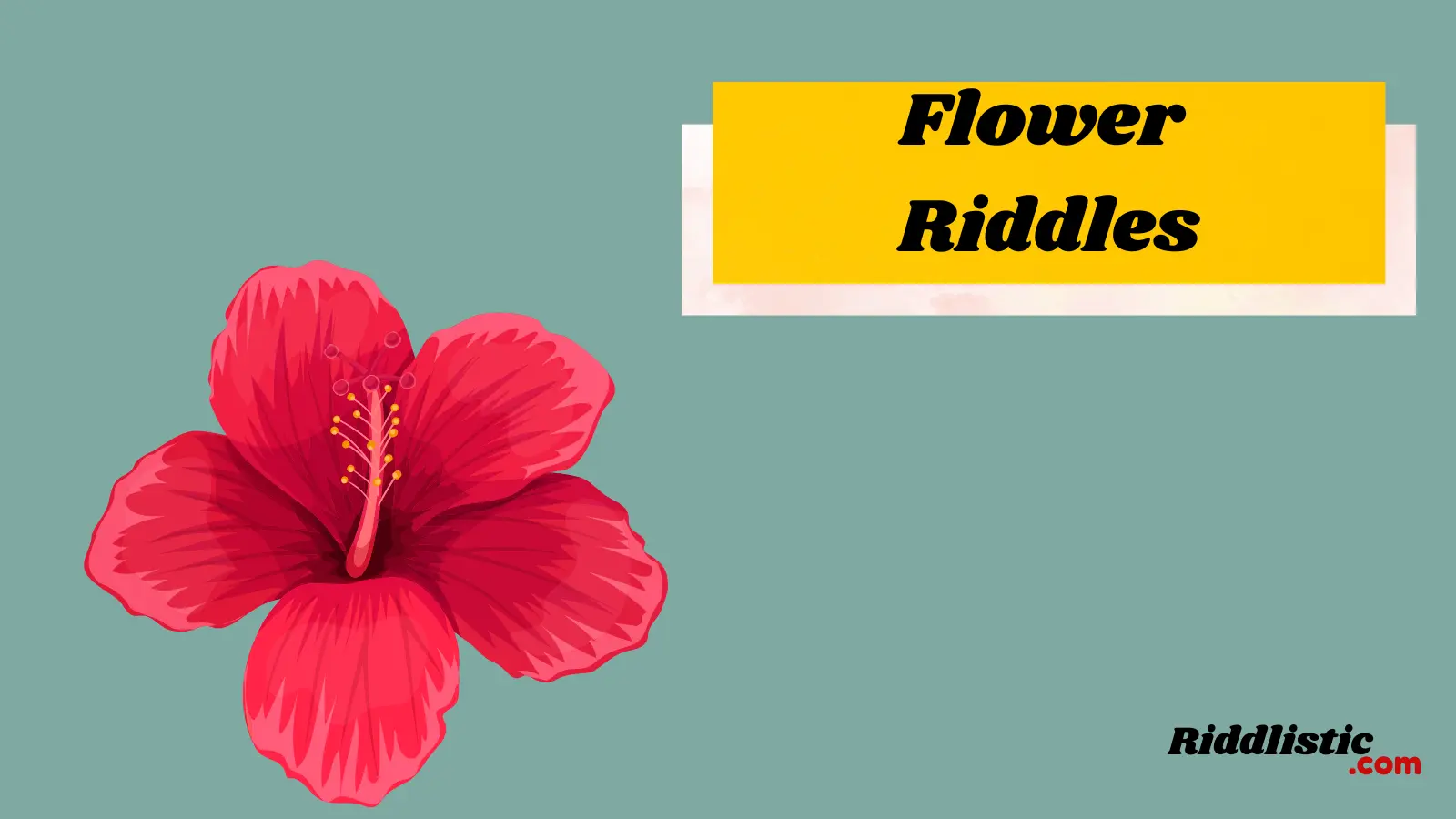 Flower Riddles
