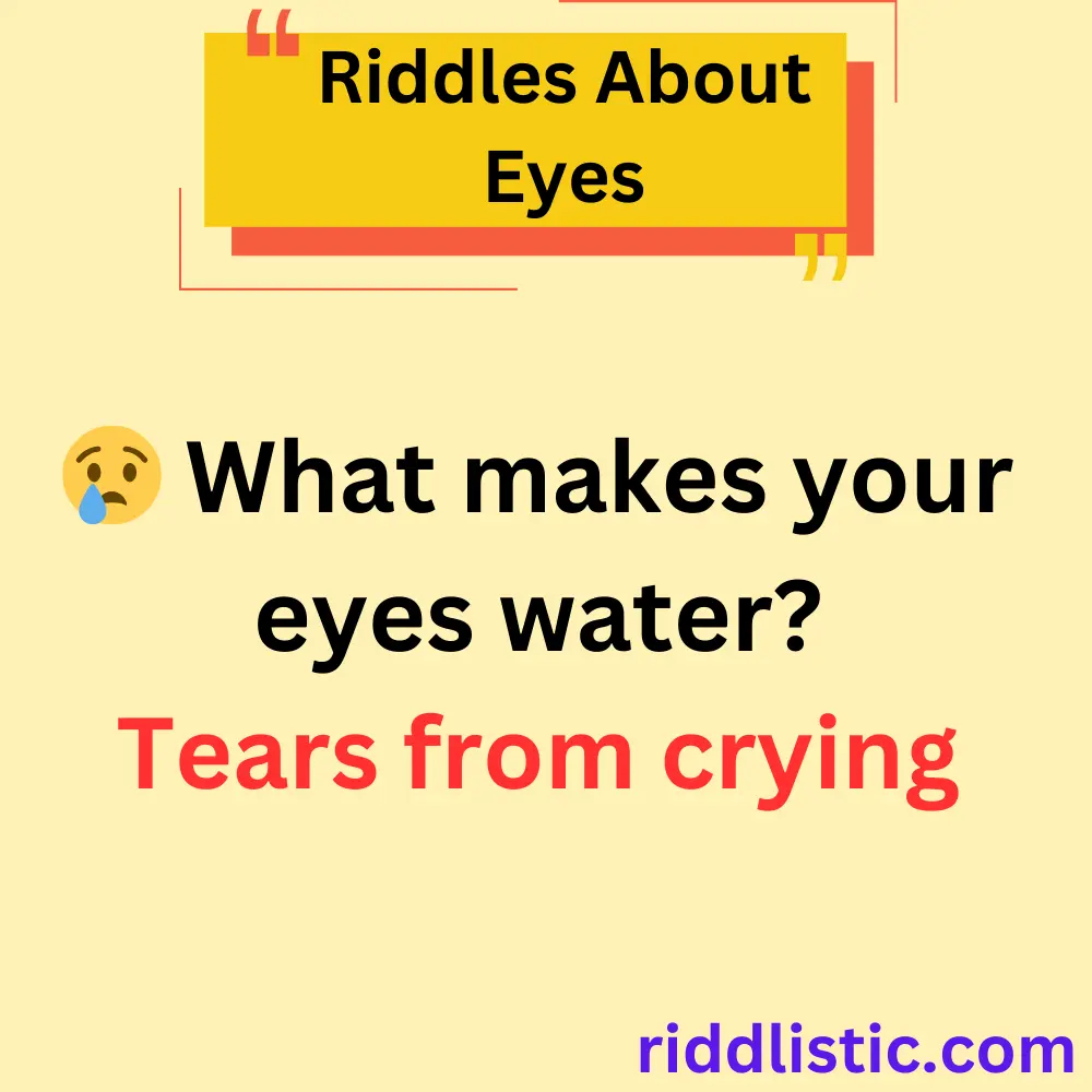 Riddles About Eyes