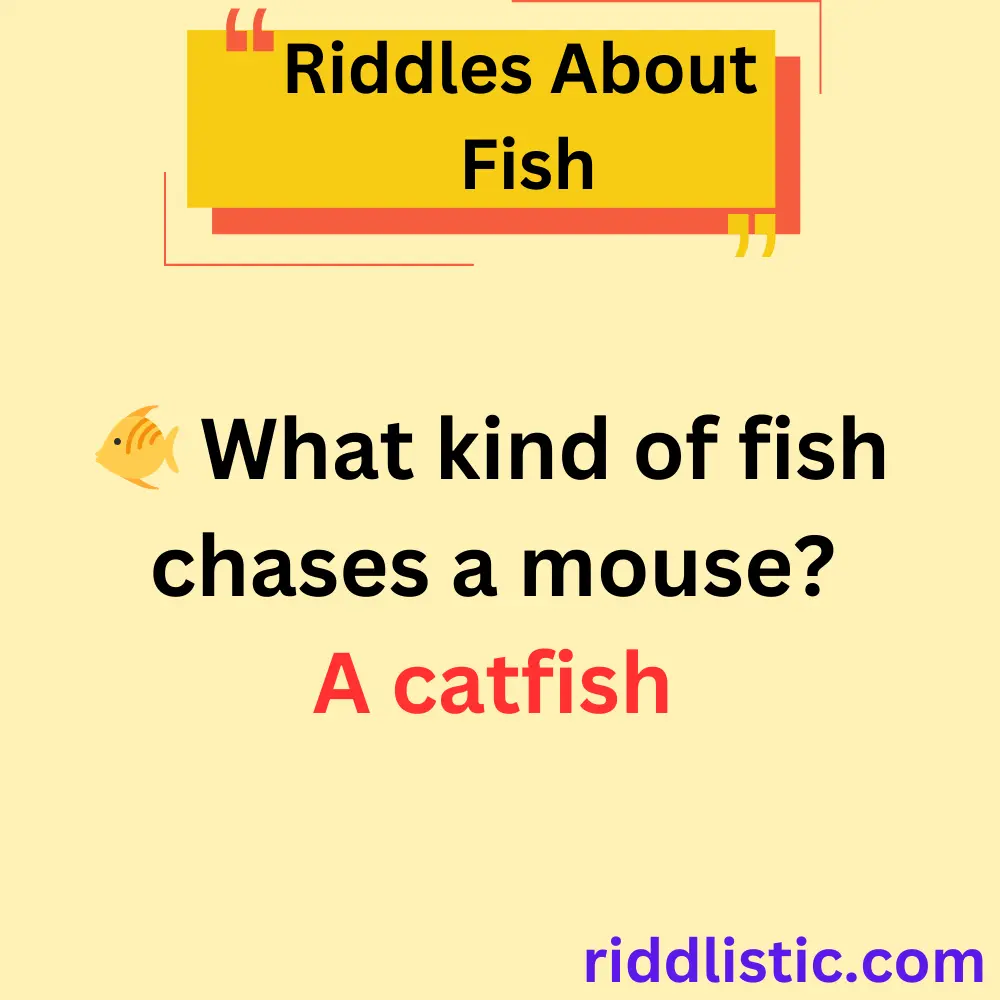 Riddles About Fish
