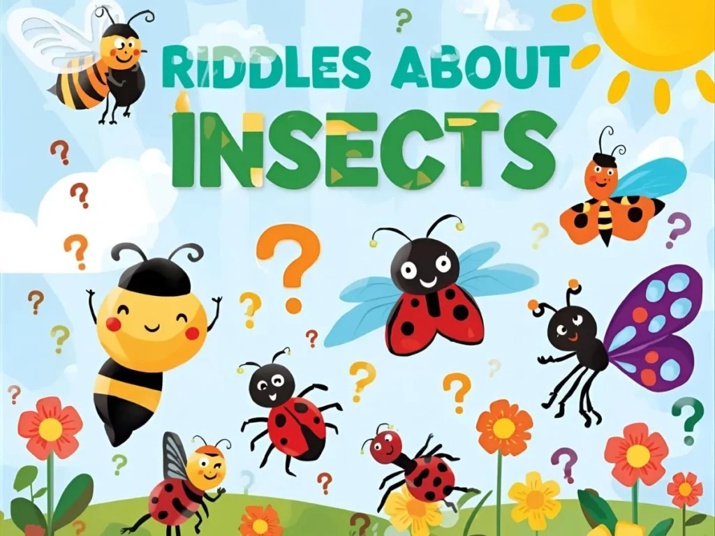 Riddles About Insects