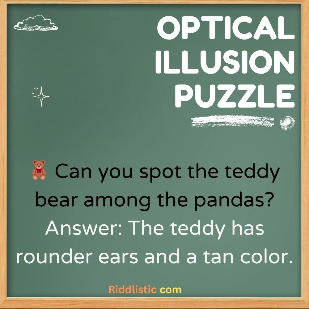 Spot the Hidden Object Puzzles